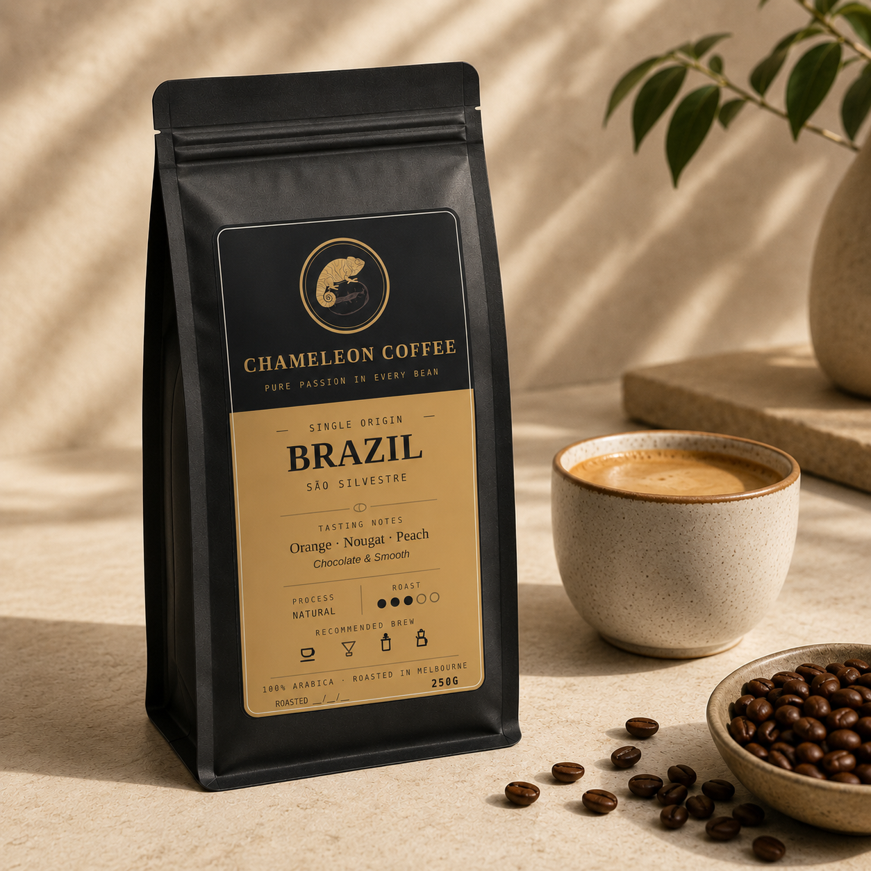 Brazil São Silvestre