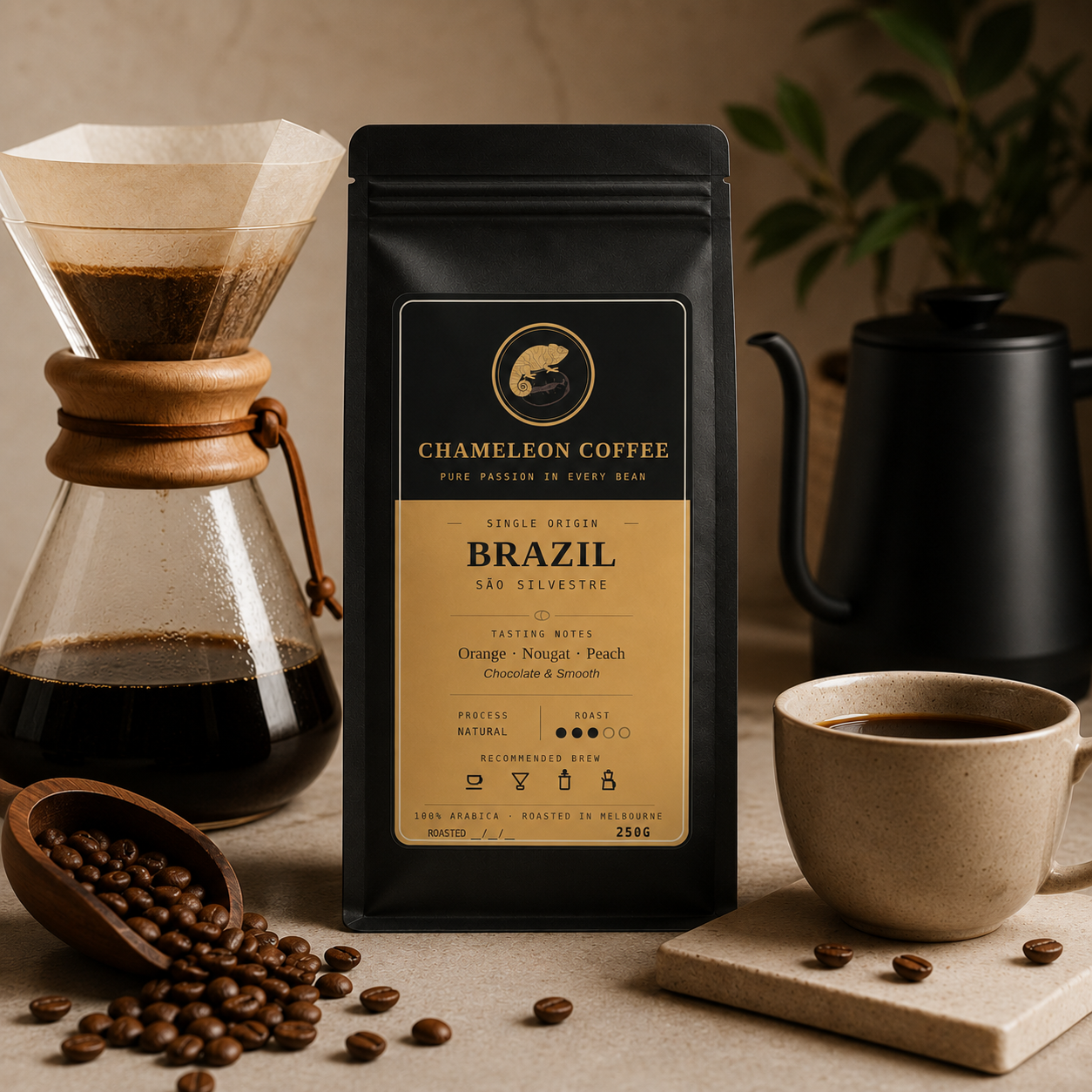 Brazil São Silvestre